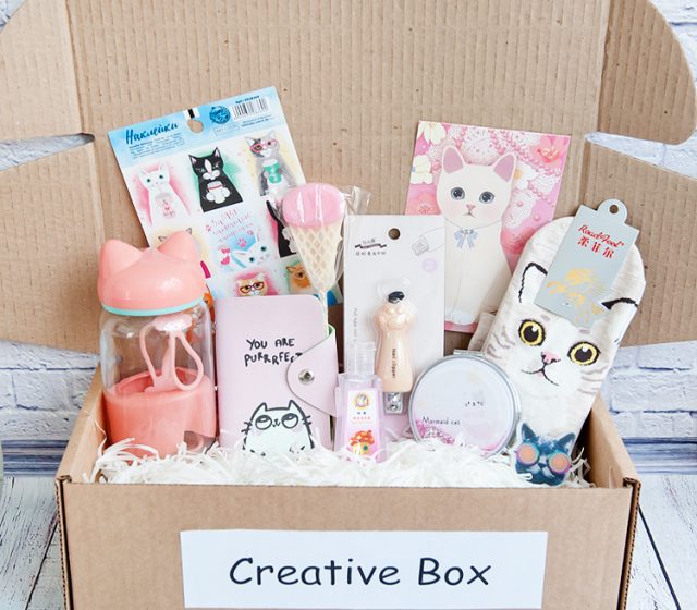 Cat-box_1